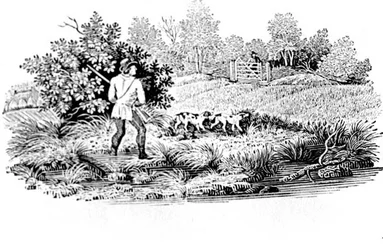 Sportsman with Two Dogs from Land Birds
